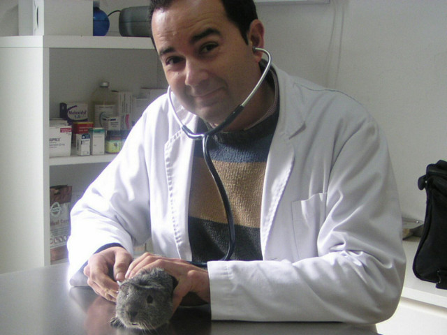 Veterinario